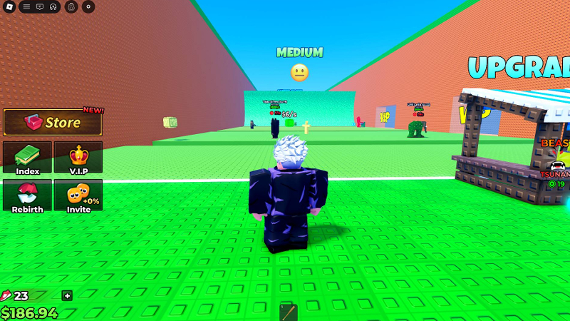 Roblox screenshot 5